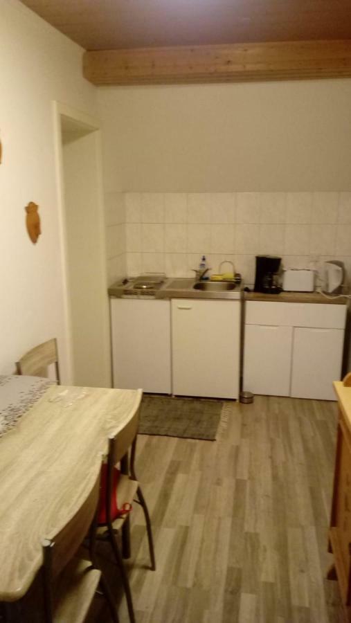 Ferienwohnung Maria Friedrichsbrunn Exterior foto